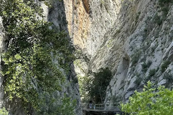 ALFA GOTOURS ALANYA EXCURSIONS, TRIPS, AUSFLUGE, UDFLUGTER, TRAVEL - Resim 17