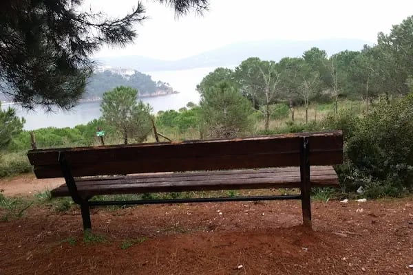 Türk Kızılay Heybeliada Kampı - Resim 5
