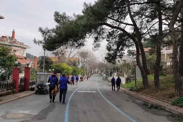 Türk Kızılay Heybeliada Kampı - Resim 15