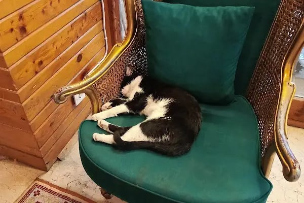 Reka Cafe Alanya - Resim 17