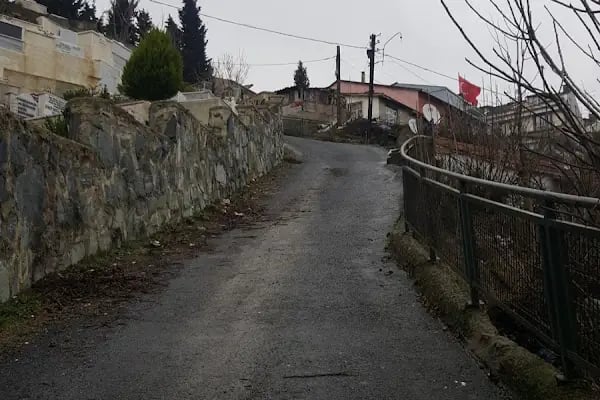 Şair Adil Erdem Bayazıt Kabri - Resim 10