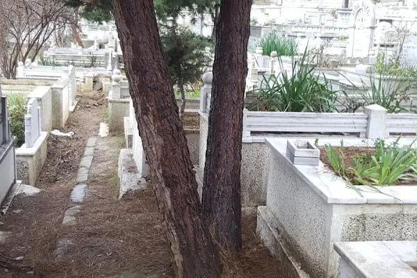 Şair Adil Erdem Bayazıt Kabri - Resim 7