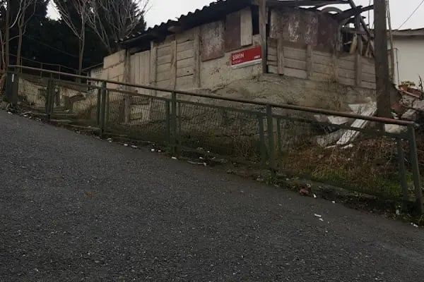 Şair Adil Erdem Bayazıt Kabri - Resim 9