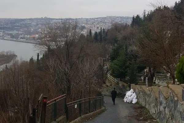 Şair Adil Erdem Bayazıt Kabri - Resim 8