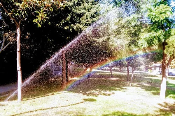 Çukurova üniversitesi Adana Meslek Yüksekokulu - Resim 20