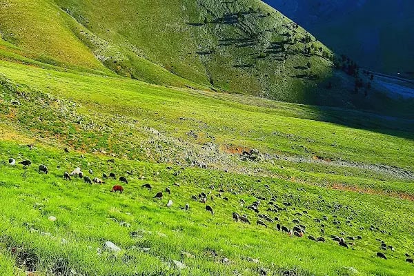 Karboğazı - Resim 7