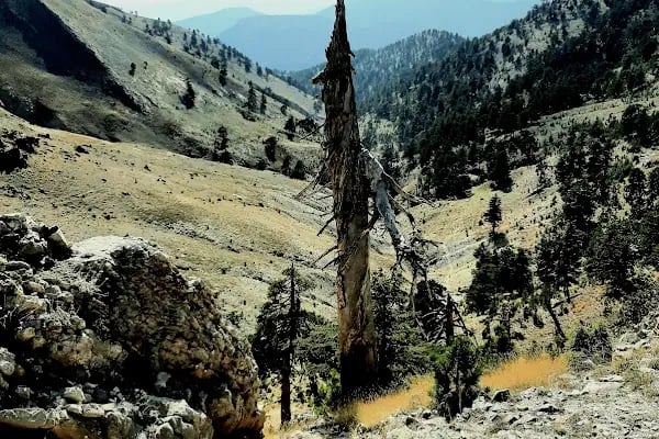 Karboğazı - Resim 9