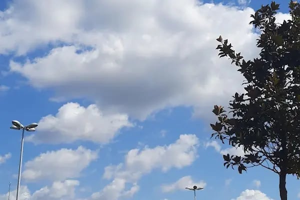 Arnavutköy Şehir Parkı - Resim 16