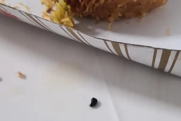 BAKLAVACI YOLGÖSTEREN - Resim 13