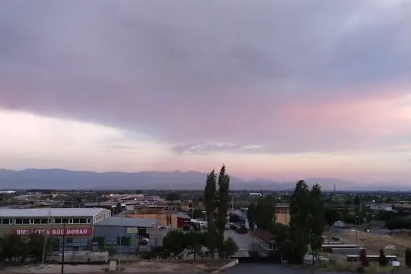 Bayındır Zeytinyağı Tariş Koop - Resim 3