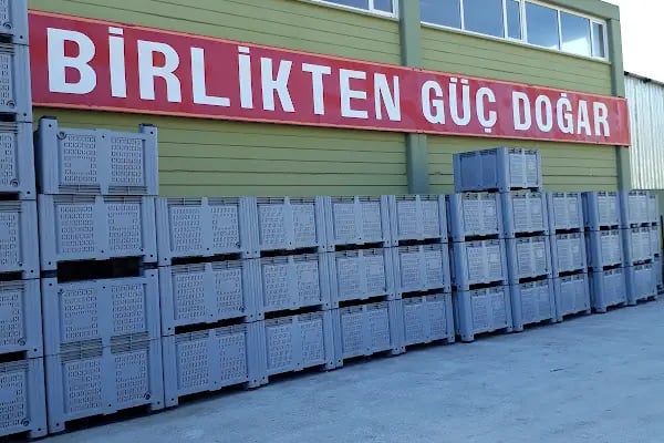 Bayındır Zeytinyağı Tariş Koop - Resim 16