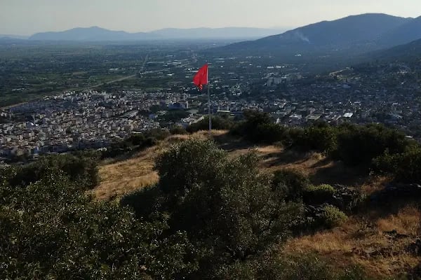 Bayındır Zeytinyağı Tariş Koop - Resim 13