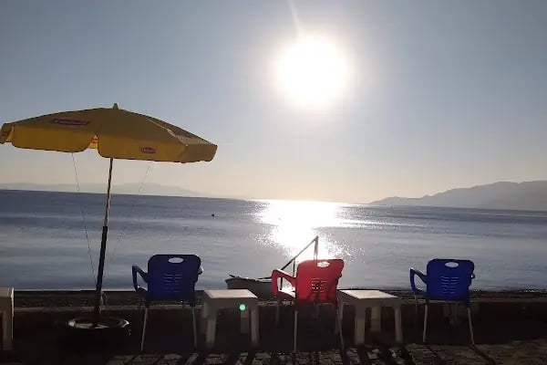 Özel Arı Sitesi - Resim 17