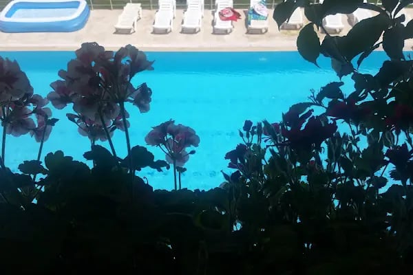Özel Arı Sitesi - Resim 13