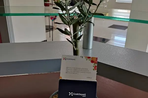 DenTiz Ağız ve Diş Sağlığı Kliniği - Resim 4