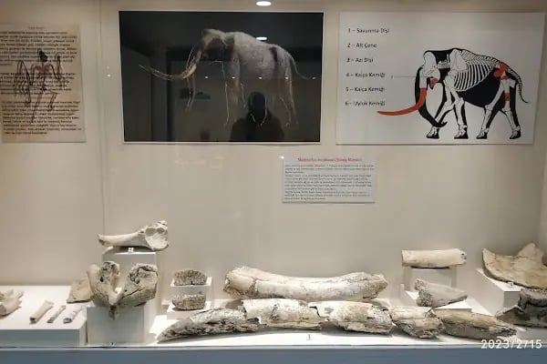 Ereğli Müzesi - Resim 18