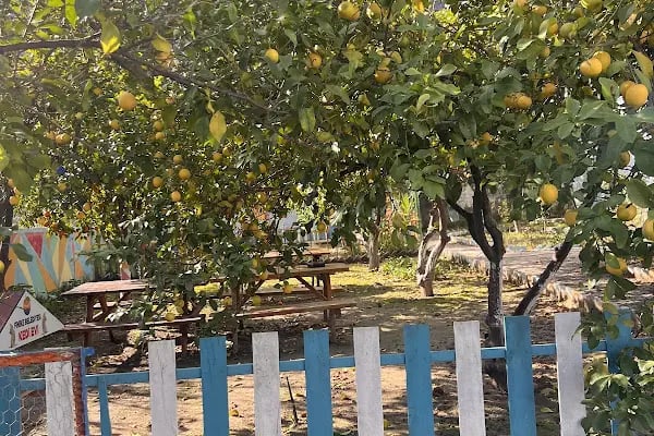 Finike 50. Yıl Anaokulu - Resim 10