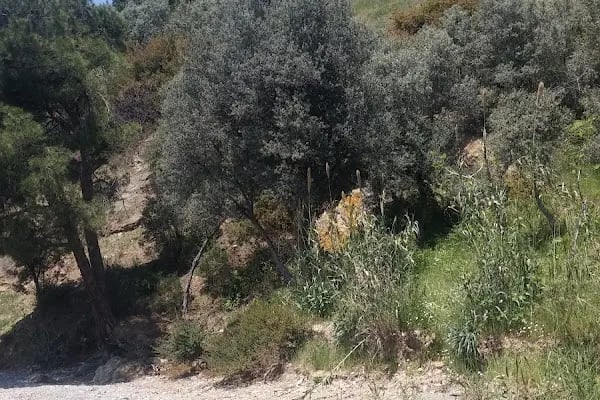 Gülizar Sitesi - Resim 9