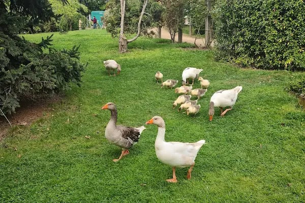 Nezahat Gökyiğit Botanik Bahçesi, Ümraniye Girişi - Resim 9