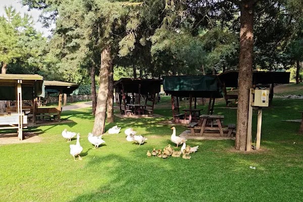 Nezahat Gökyiğit Botanik Bahçesi, Ümraniye Girişi - Resim 11