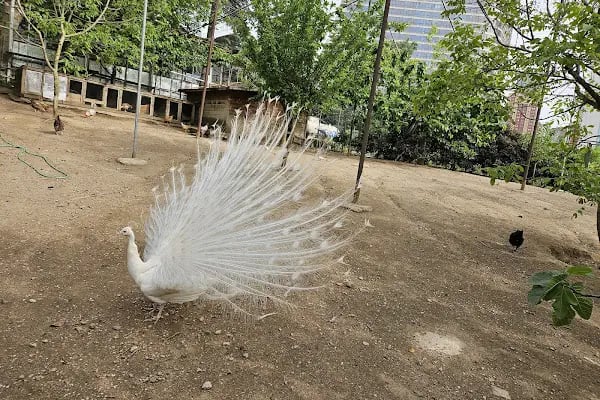 Nezahat Gökyiğit Botanik Bahçesi, Ümraniye Girişi - Resim 10