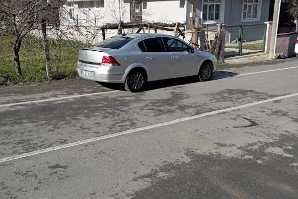 Sare oto yıkama kapaklı - Resim 3