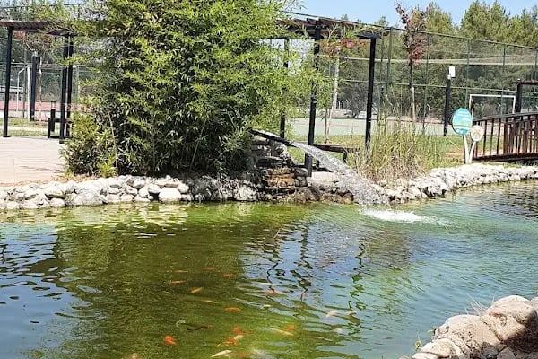 YALINLI PARK - Resim 5