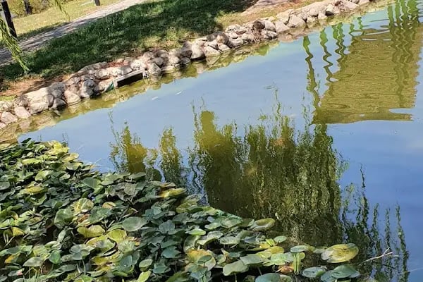 YALINLI PARK - Resim 9