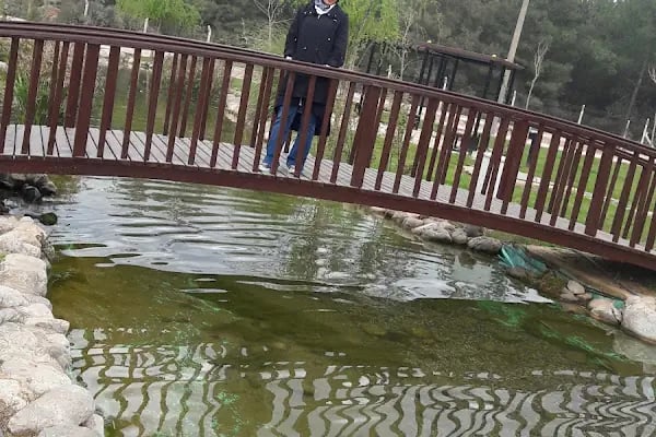 YALINLI PARK - Resim 4