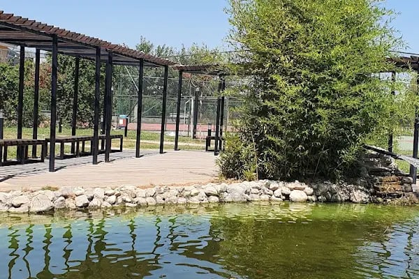 YALINLI PARK - Resim 18