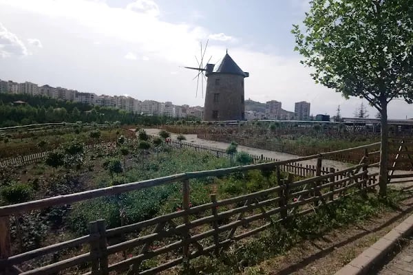 Hayal Fotoğrafçılık Sincan - Resim 13