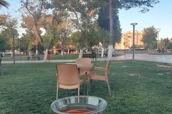 Koru Parkı - Resim 6