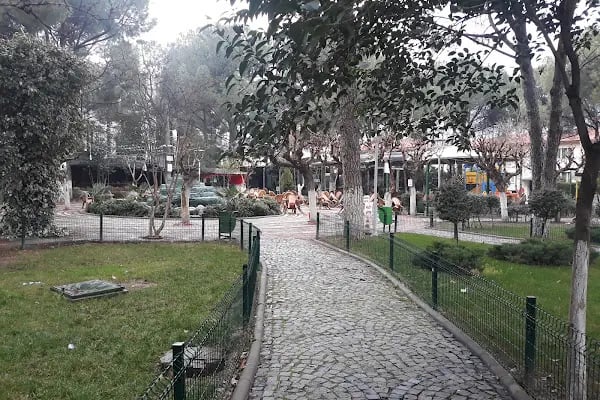 Koru Parkı - Resim 3