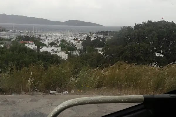 Çucuk Parkı - Resim 6