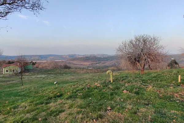 Durusu otel park - Resim 11