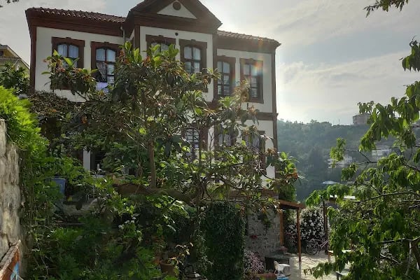 Orta Mahalle Genel Görünüm - Resim 6