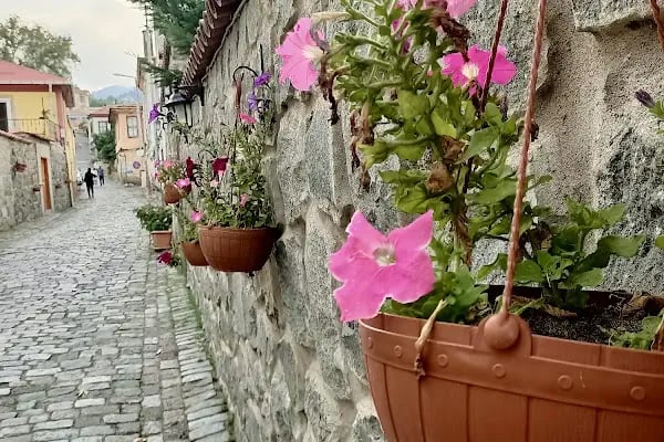 Orta Mahalle Genel Görünüm - Resim 13