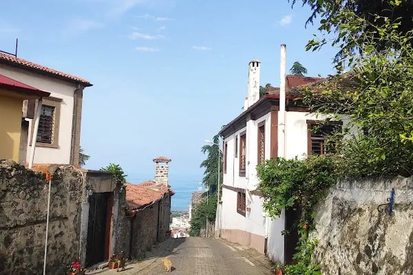 Orta Mahalle Genel Görünüm - Resim 5