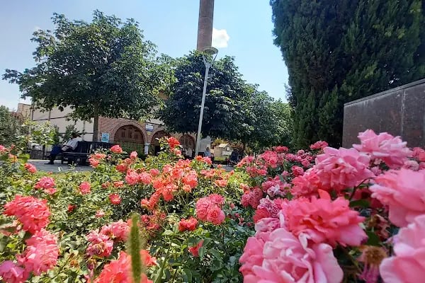 Hacı Musa Cami - Resim 13