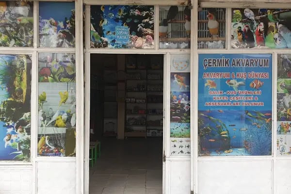 Çermik Akvaryum - Resim 2