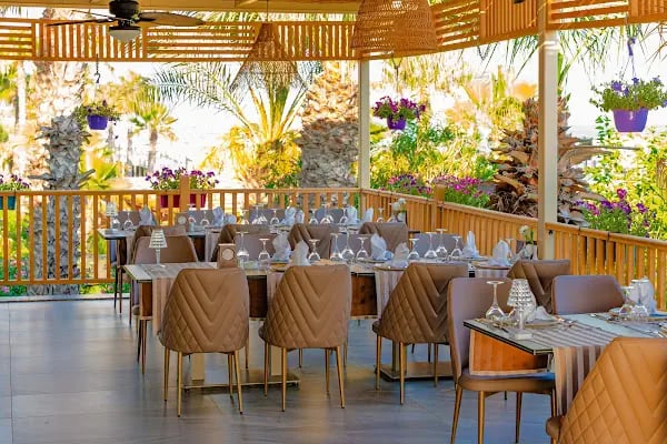 Delphin Palace Hotel - Resim 12