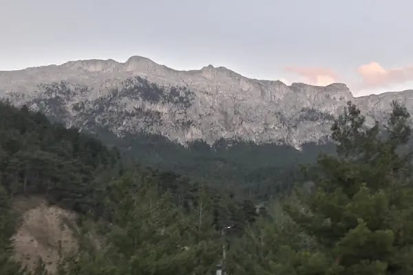 Ptt tekir Yaylası Şubesi - Resim 10