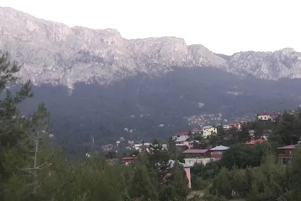 Ptt tekir Yaylası Şubesi - Resim 8