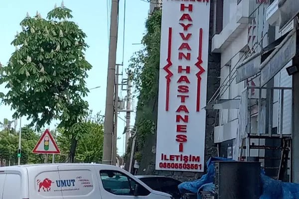 Özel Trabzon Havyan Hastanesi - Resim 5