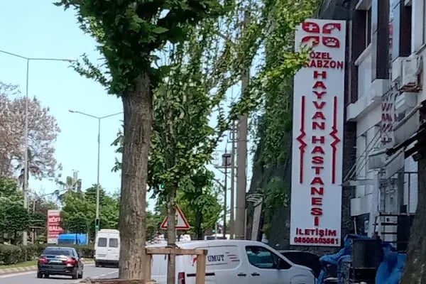 Özel Trabzon Havyan Hastanesi - Resim 9