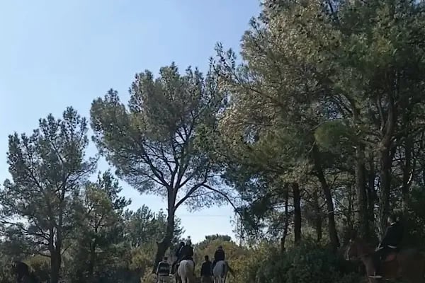Bornova Karaçam Binicilik - Resim 20