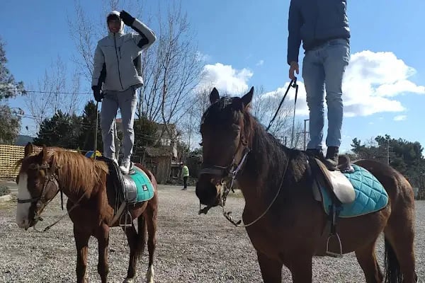 Bornova Karaçam Binicilik - Resim 16