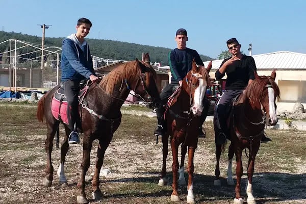 Bornova Karaçam Binicilik - Resim 4