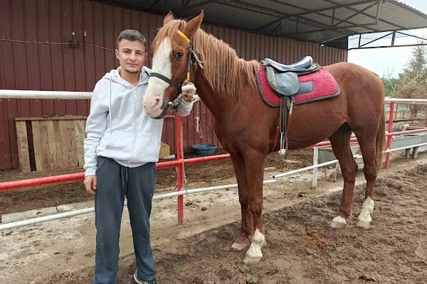Bornova Karaçam Binicilik - Resim 15