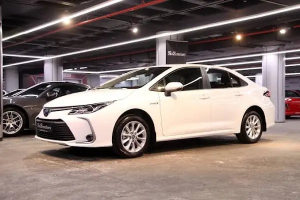 İstanbul Havalimanı Rent a Car Stone - Resim 13